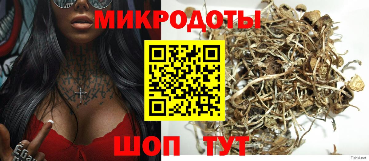 Галлюциногенные грибы Cubensis  где найти   Туапсе  Вход с VPN 